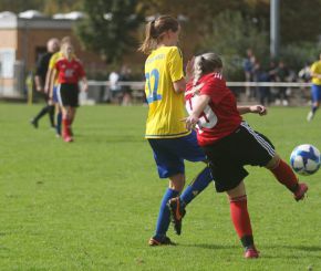 fCW - SGM Dettingen8.jpg