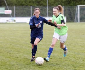 Bellamont II - FCW 23-245.jpg