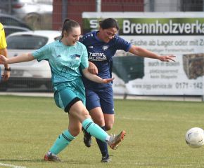 Bellamont II - FCW14.jpg
