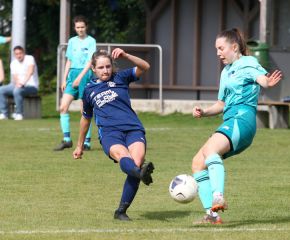 Bellamont II - FCW53.jpg