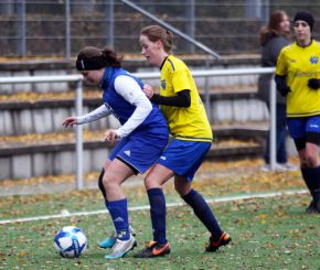 FCW - Bellamont II43.jpg