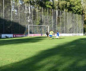 FCW - FVB1.jpg