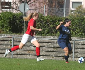 FCW - Reinstetten7.jpg
