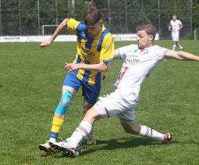 FCW - Ringschnait2.jpg