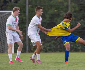 FCW - Ringschnait4.jpg