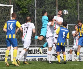 FCW - Ringschnait42.jpg