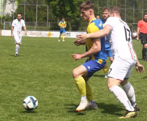 FCW - Ringschnait5.jpg