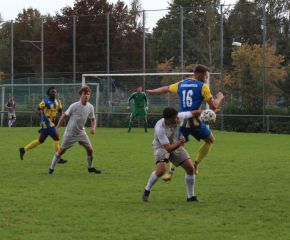 FCW - SGM Birkenhard 23-2420.jpg