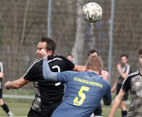 FCW - Zell3.jpg