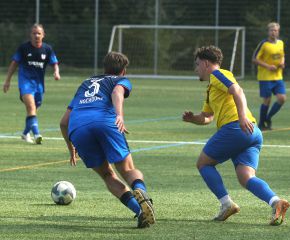 FCW II - Muttensweiler II10.jpg