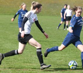 KIrcb-Dettg. - FCW9.jpg