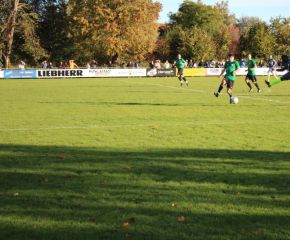 SGM RIngschnait - FCW125.jpg