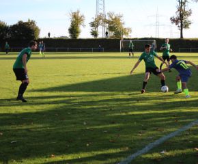 SGM RIngschnait - FCW134.jpg