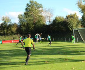 SGM RIngschnait - FCW16.jpg