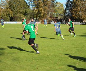 SGM RIngschnait - FCW25.jpg