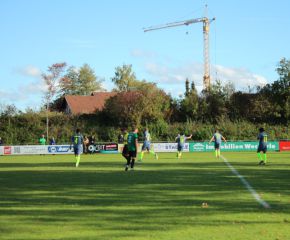 SGM RIngschnait - FCW46.jpg