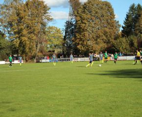 SGM RIngschnait - FCW54.jpg