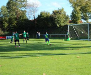 SGM RIngschnait - FCW74.jpg