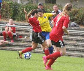 fCW - SGM Dettingen17.jpg