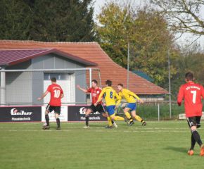 fcw-berkheim6.jpg