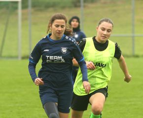 Alberweiler - FCW36.jpg