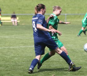 Alberweiler II - FCW33.jpg