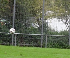 Alberweiler19.jpg
