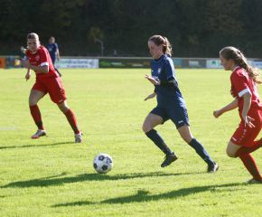 Baltringen - FCW48.jpg