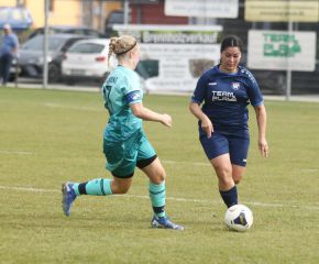 Bellamont II - FCW21.jpg