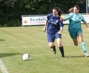 Bellamont II - FCW51.jpg