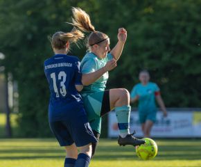 Bellamont III-FCW6.jpg