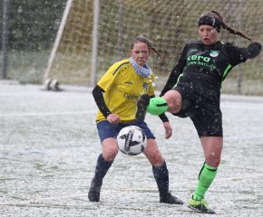 FCW - Alberweiler2.jpg