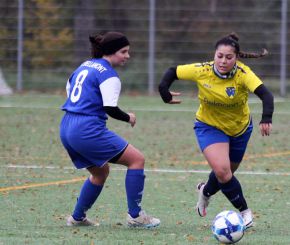 FCW - Bellamont II5.jpg