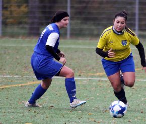 FCW - Bellamont II6.jpg