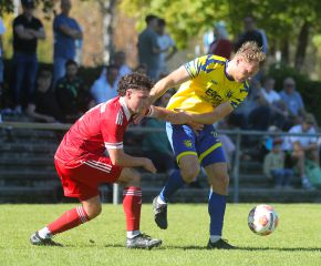 FCW - Dettinngen19.jpg