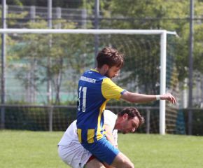 FCW - Ringschnait31.jpg