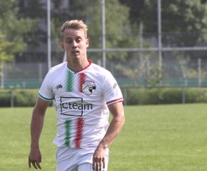 FCW - Ringschnait34.jpg