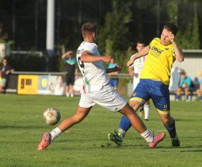 FCW - SGM Ringschnait2.jpg
