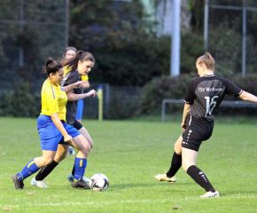 FCW - Warthausen2.jpg