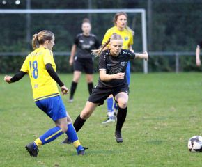 FCW - Warthausen4.jpg
