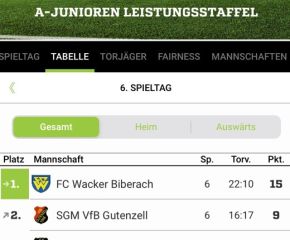 Meister7.jpg