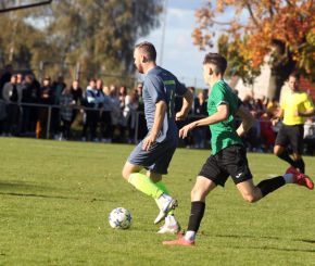 Ringschnait - FCW1.jpg