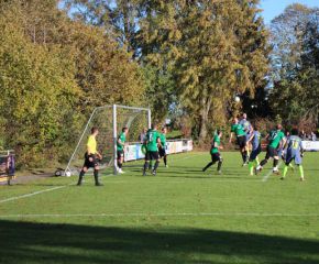 SGM RIngschnait - FCW117.jpg