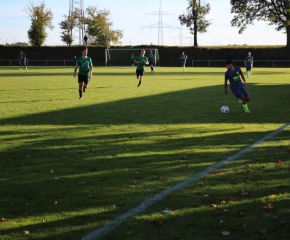 SGM RIngschnait - FCW129.jpg