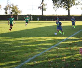 SGM RIngschnait - FCW130.jpg