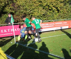 SGM RIngschnait - FCW140.jpg