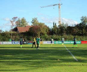 SGM RIngschnait - FCW47.jpg