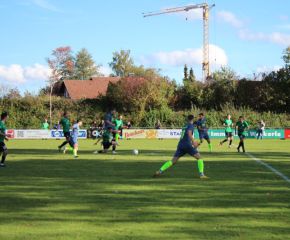 SGM RIngschnait - FCW5.jpg