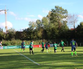 SGM RIngschnait - FCW6.jpg