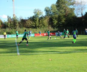 SGM RIngschnait - FCW70.jpg